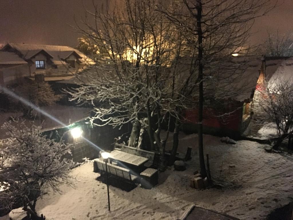 Cabanas Pehuenia Vandrarhem El Bolsón Exteriör bild