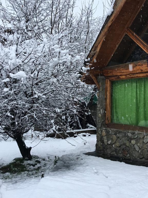Cabanas Pehuenia Vandrarhem El Bolsón Exteriör bild